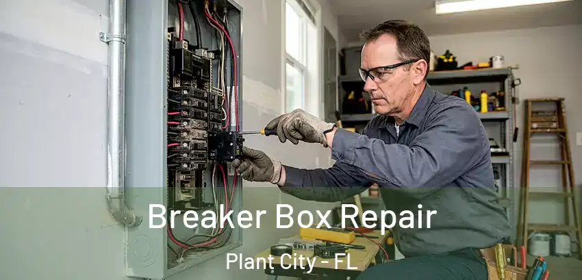 Breaker Box Repair Plant City - FL