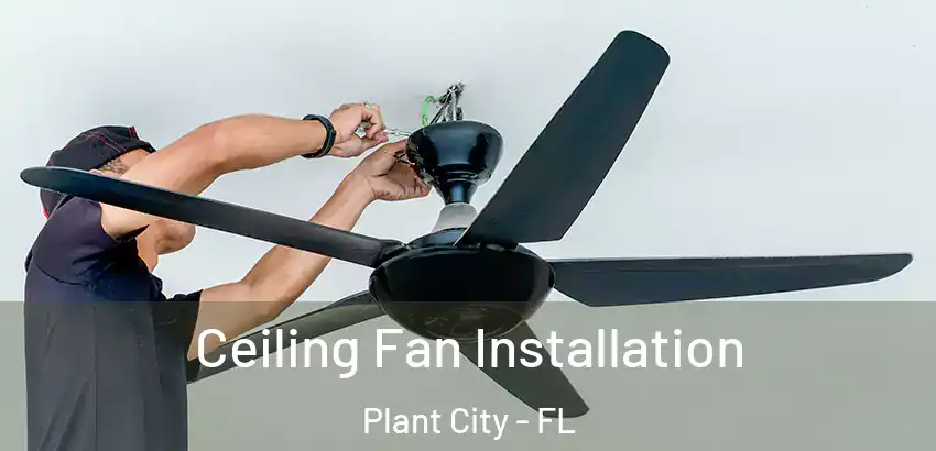 Ceiling Fan Installation Plant City - FL