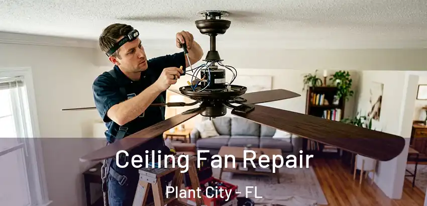 Ceiling Fan Repair Plant City - FL