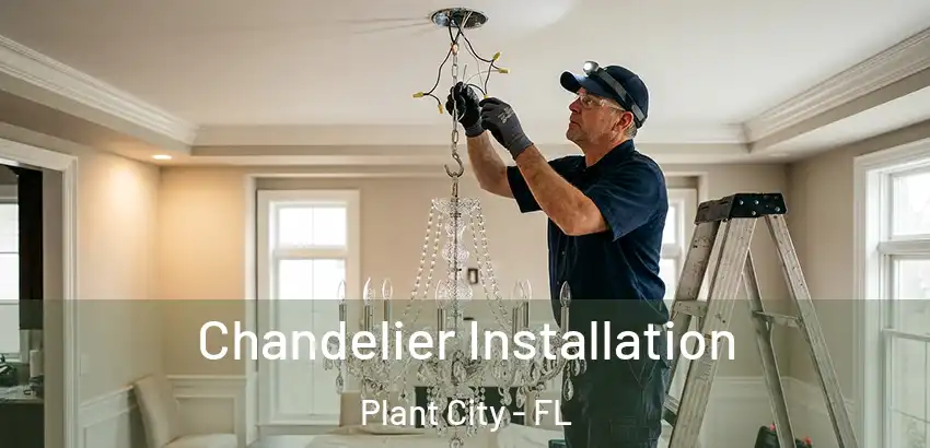 Chandelier Installation Plant City - FL
