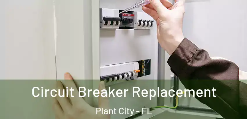 Circuit Breaker Replacement Plant City - FL
