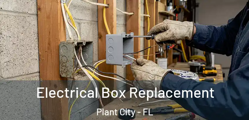 Electrical Box Replacement Plant City - FL