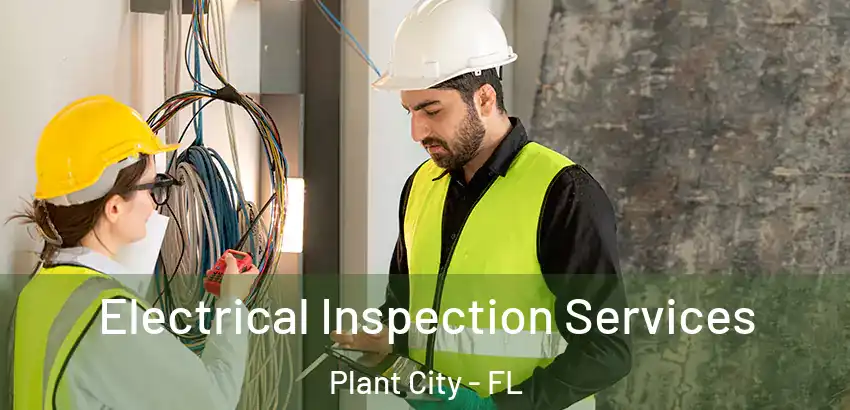 Electrical Inspection Services Plant City - FL