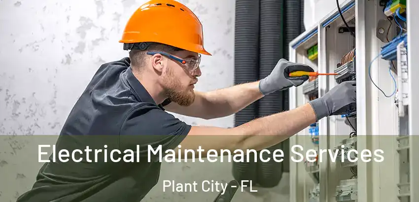 Electrical Maintenance Services Plant City - FL