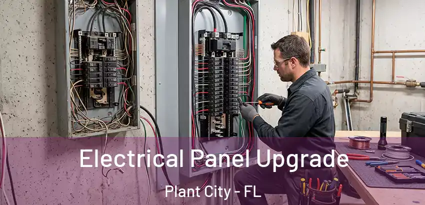 Electrical Panel Upgrade Plant City - FL
