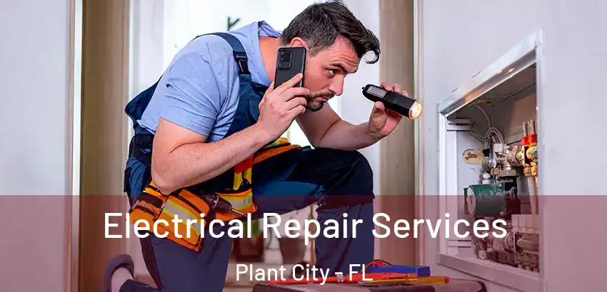 Electrical Repair Services Plant City - FL