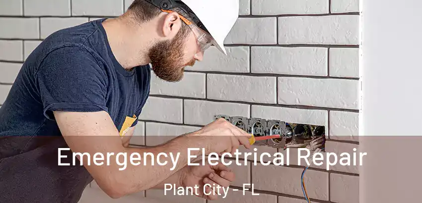 Emergency Electrical Repair Plant City - FL