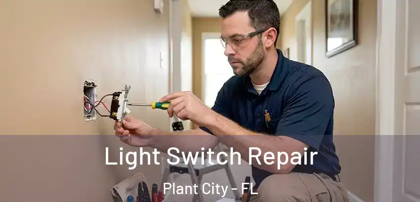 Light Switch Repair Plant City - FL