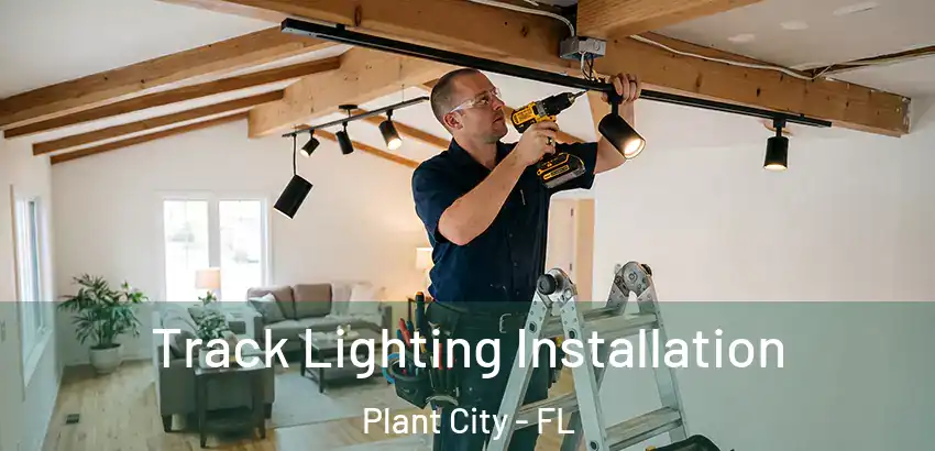 Track Lighting Installation Plant City - FL