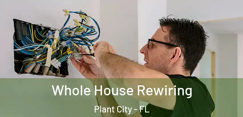 Whole House Rewiring Plant City - FL