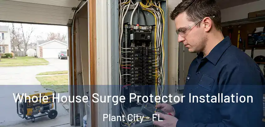 Whole House Surge Protector Installation Plant City - FL